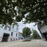 In Gleisdorf kann man nun beim Pflanzen von Bäumen unterstützen