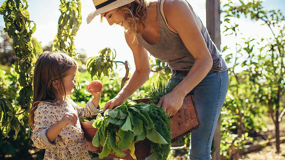 Natur und Umwelt für die nachfolgenden Generationen ist Ihr Thema? Wir haben super Tipps ... 