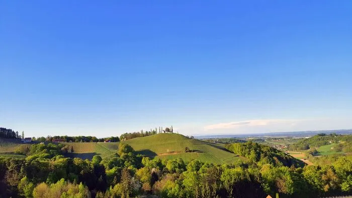 Ausblick vom Wurzenberg