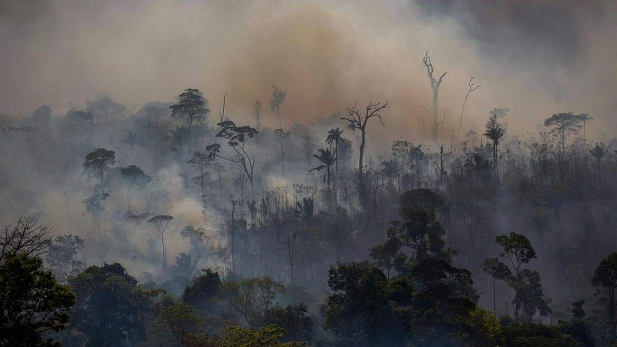 Große Flächen des brasilianischen Regenwaldes wurden ein Raub der Flammen