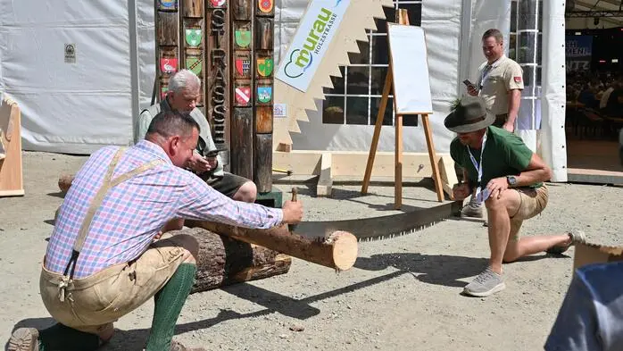 Zwei Männer schneiden einen Baumstamm mit einer alten Zugsäge