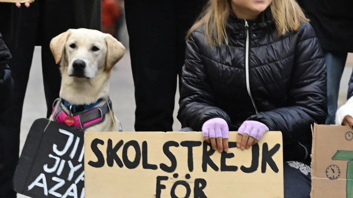 Im August 2018 streikte Greta Thunberg erstmals für das Klima vor dem schwedischen Parlament