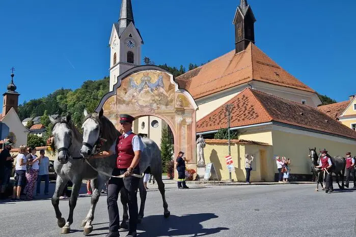 Viel Spaß mit den Fotos von den Stationen des Lipizzaner-Almabtriebs in Maria Lankowitz.