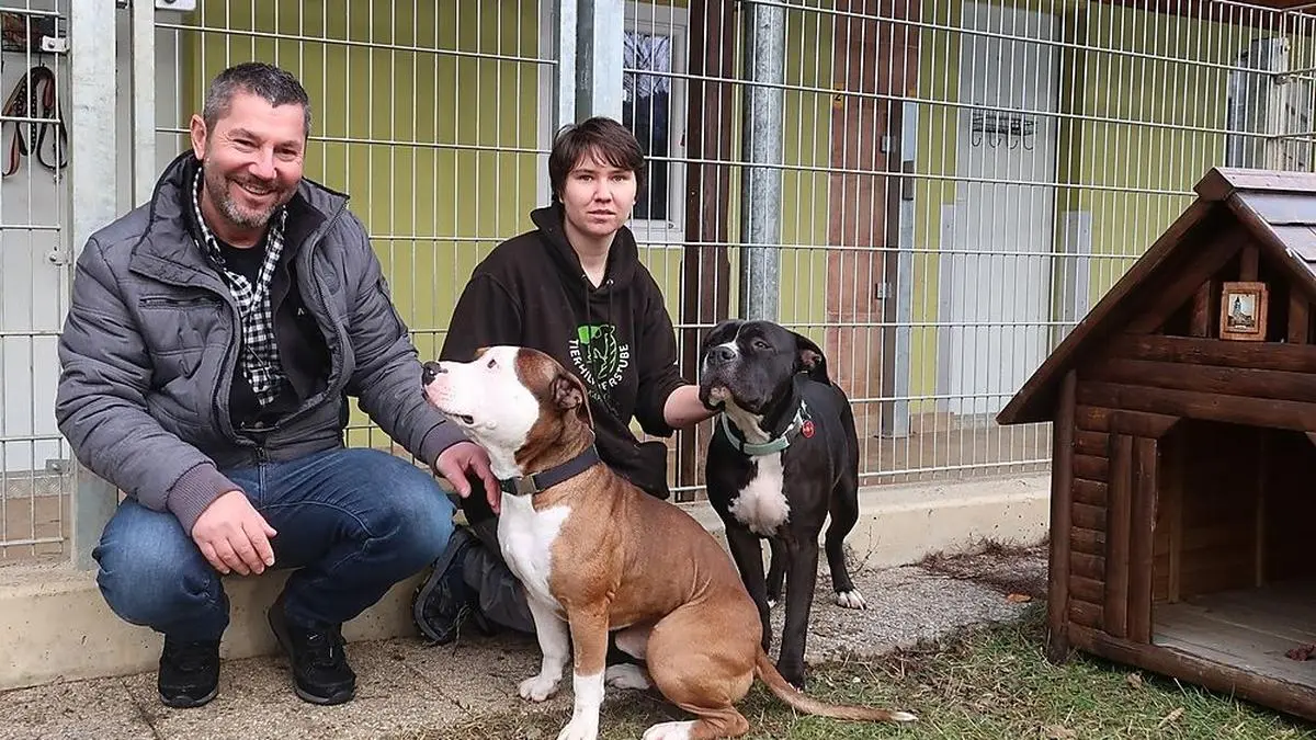 Charly Forstner, Obmann Aktiver Tierschutz Austria und Jenny Goldmann, Leiterin des Tierheim Kapfenberg, mit Cookie und Lucy, die seit Dezember in Kapfenberg untergebracht sind