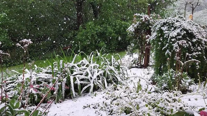 Am Dienstag kehrte in der Südweststeiermark der Winter zurück, wie hier in Hollenegg, Deutschlandsberg