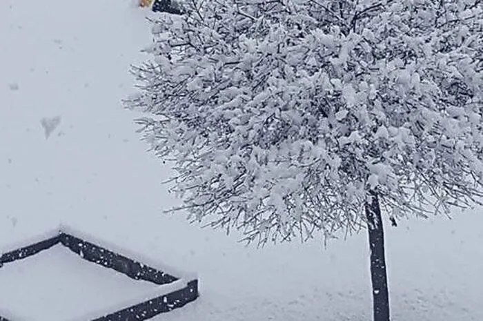 Danke für das Schneefoto, Claudia Scheffel