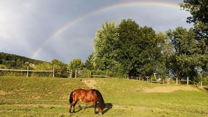 Ein Foto, so idyllisch, als wäre es das Cover eines Kinderbuches, hat Maria Martinelli aus Weiz gemacht.