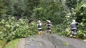 Im Bezirk Deutschlandsberg ließ der Sturm die Bäume stürzen