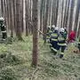 Ein anderer Forstarbeiter hörte zufällig Hilfeschreie und verständigte die Einsatzkräfte