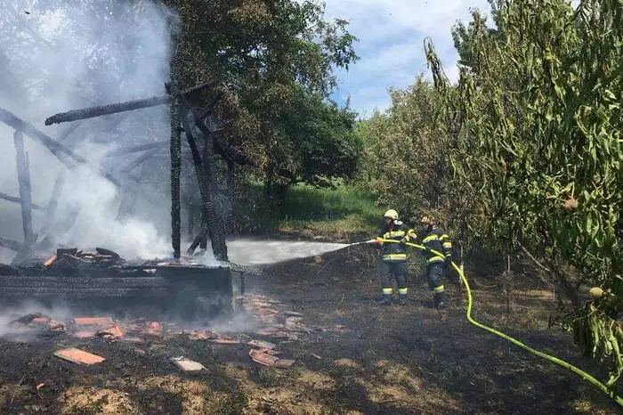 Die Feuerwehr konnte ein Übergreifen auf die benachbarten Bäume verhindern.