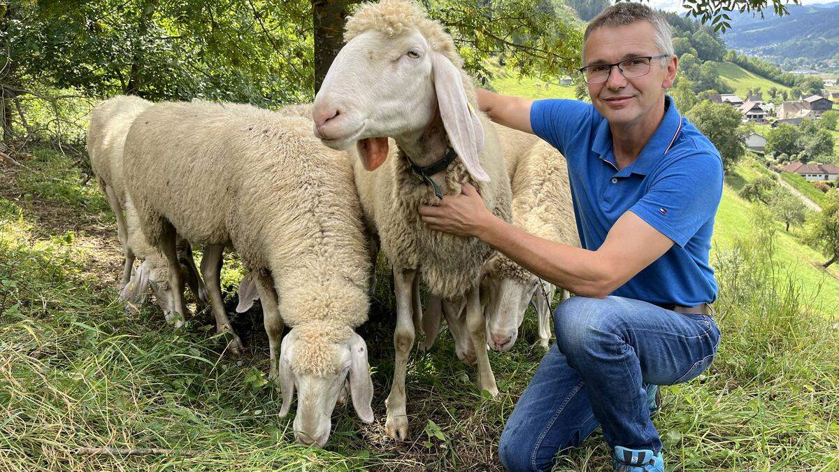 Siegfried Illmayer, Schafzüchter und Geschäftsführer vom Steirischen Schaf- und Ziegenzuchtzverband 