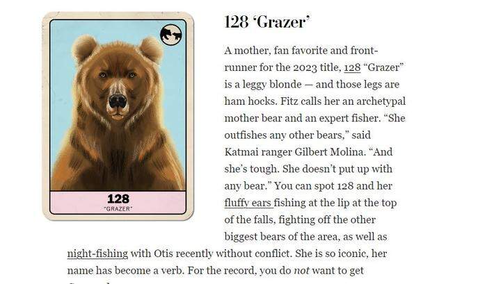 Die "Visitenkarte" von "Grazer" im Wettbewerb der fettesten Bären