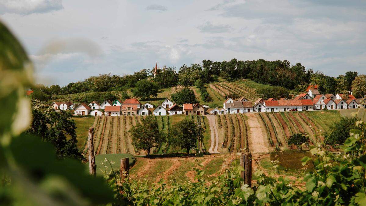 Kellergasse Galgenberg in Wildendürnbach 