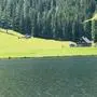 Das Feuer brach beim Etrachsee aus