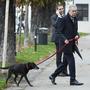 Bundespräsident Alexander Van Bellen mit seinem Hund  vor der Hofburg - von einem Bodyguard bewacht