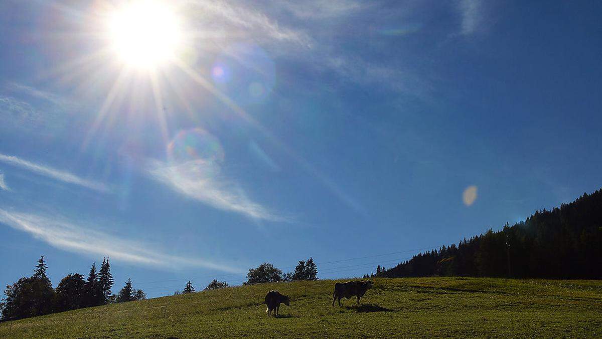 Im Laufe des Tages wird es freundlich - die Temperaturen im Süden steigen auf über 20 Grad