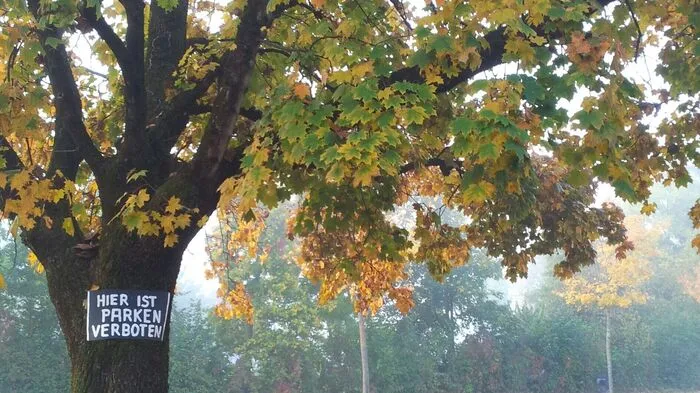 In Klagenfurt ist das Parken auf Laub verboten, schreibt unsere Leserin.