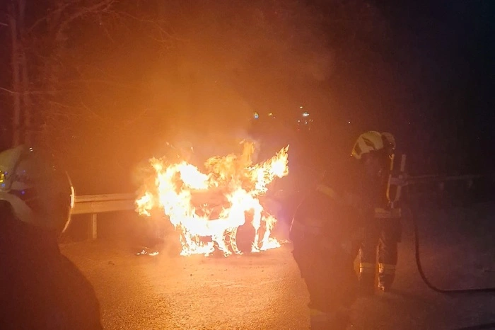 Beim Eintreffen der Feuerwehrleute schlugen bereits heftige Flammen aus dem Motorraum.