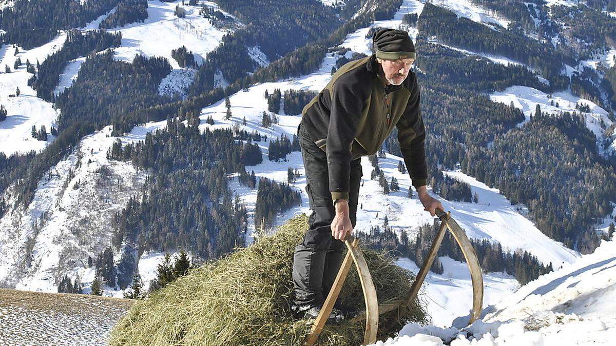 Bergbauer Gschwandtner auf 1300 Meter Seehöhe              beim Heueinbringen