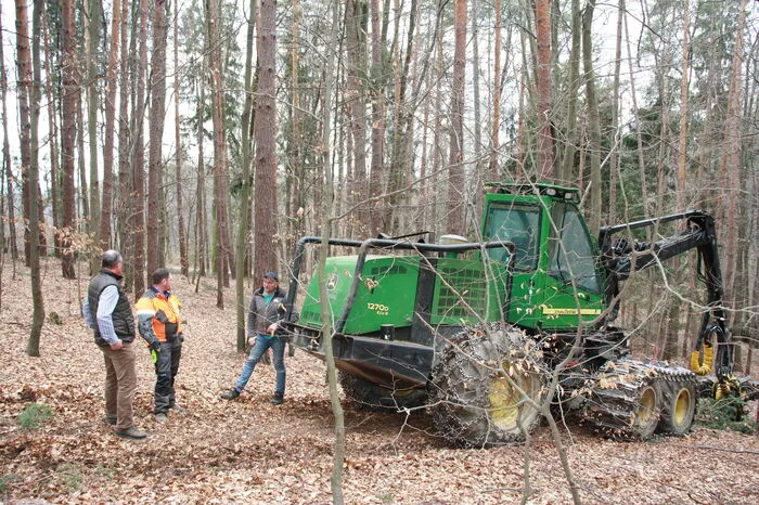 Die Arbeiten führt ein Kärntner Unternehmer mit einem sogenannten Harvester durch