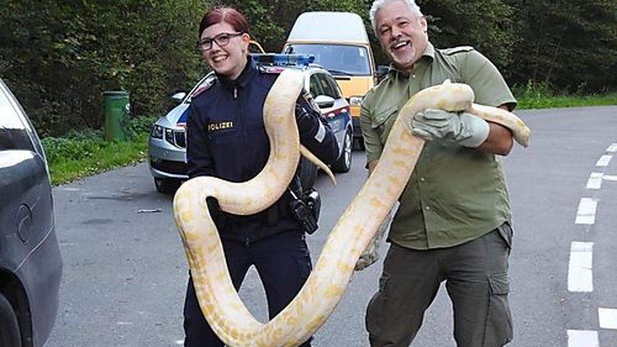 Gemeinsam mit Reptilienexperte Werner Stangl wurde die Python wieder eingefangen