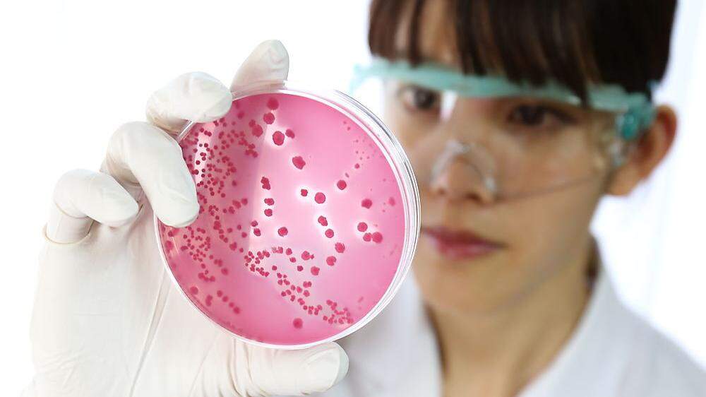 Durch übermäßigen bzw. falschen Gebrauch werden Bakterien gegen Antibiotika resistent