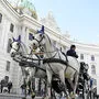 Fiakerpferde auf dem Michaelerplatz im Herzen von Wien