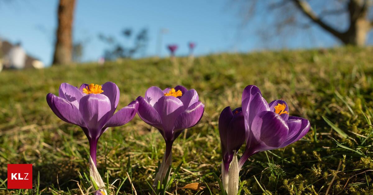 Bis-zu-18-Grad-Auf-die-Steirer-warten-die-bisher-w-rmsten-Tage-des-Jahres