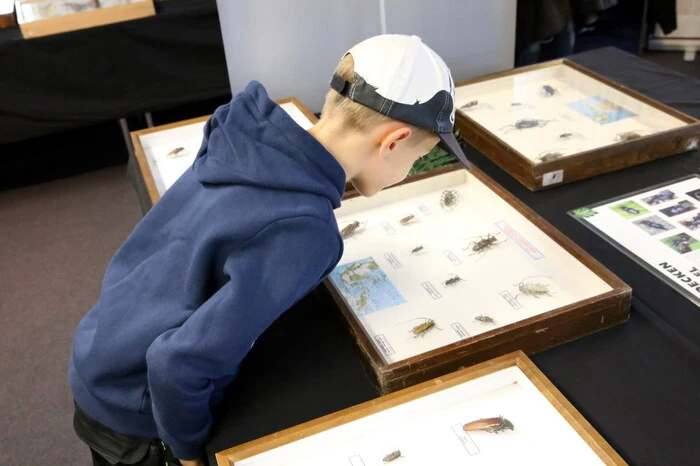 Und er hatte an die 500 Insekten aus aller Welt mit im Gepäck. 