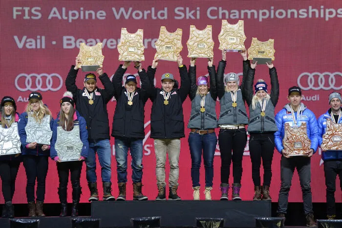 2015 holte Brem zudem Mannschafts-Gold bei den alpinen Skiweltmeisterschaften in Vail und Beaver Creek.