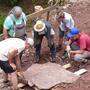 Fossilienfundort Gailtal: das Forscherteam bei der Bergung der großen Fährtenplatte