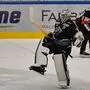 Dornbirn-Goalie David Madlener