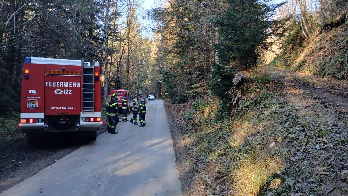 Ein Waldarbeiter verletzte sich am Samstagmorgen in Wald bei Stainz am Kopf und musste von der Feuerwehr gerettet werden