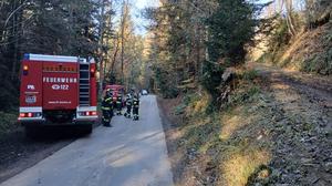 Ein Waldarbeiter verletzte sich am Samstagmorgen in Wald bei Stainz am Kopf und musste von der Feuerwehr gerettet werden