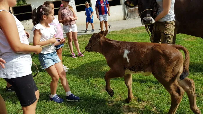 Klicken Sie sich durch die Fotos vom Besuch am Bauernhof der Familie Gspurning!