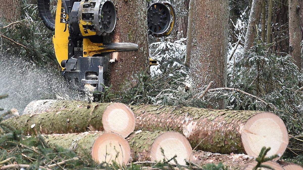 Unfall bei Forstarbeiten (Archivbild)