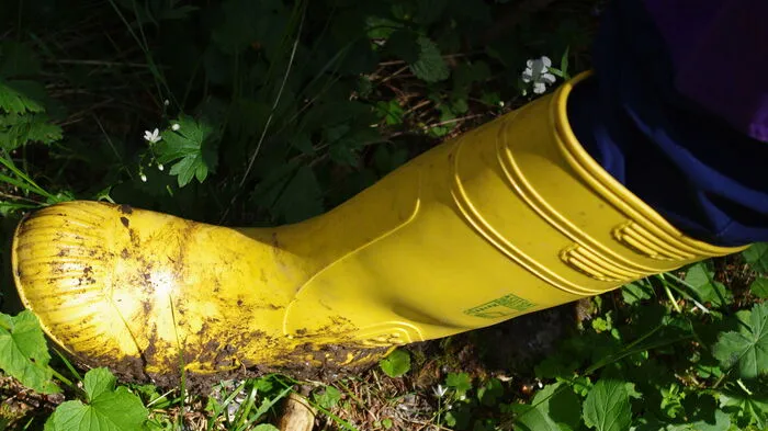 Gutes und wasserdichtes Schuhwerk ist eine wichtige Voraussetzung für eine Moorwanderung. Am besten sind Gummistiefel.
