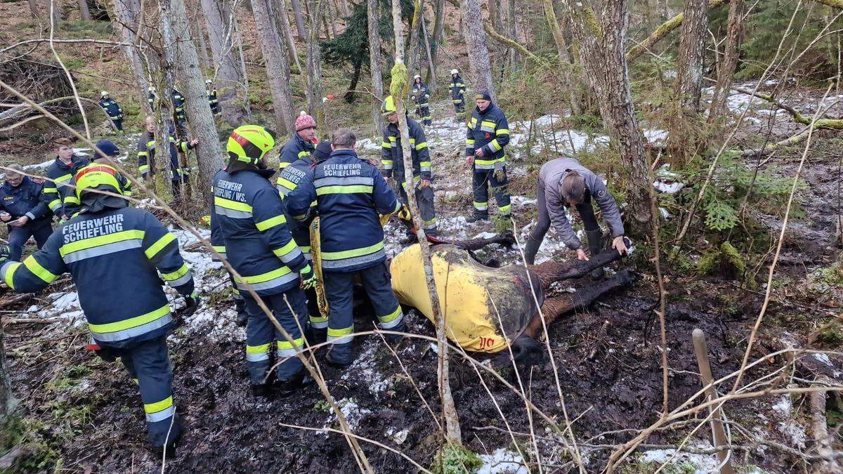 Auch die FF Techelweg rückte aus 