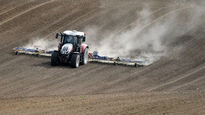Regen auf die trockenen Böden? Für die Landwirtschaft sind die kommenden Wochen entscheidend
