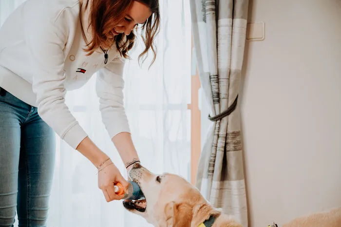 Klicken Sie sich durch die Bilder von Larissa und Sammy!