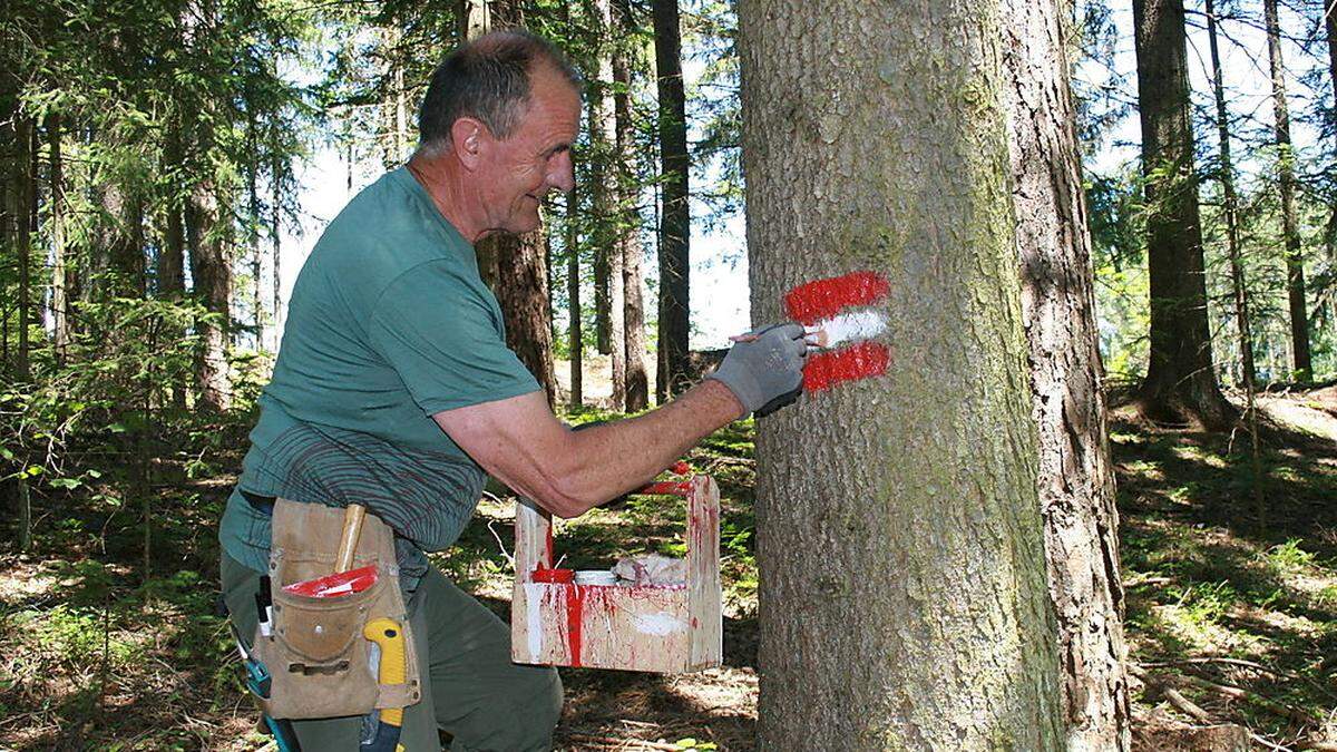 Karl Nadrag betreut alleine 100 Kilometer an Wanderwegen in den Karawanken für den Alpenverein