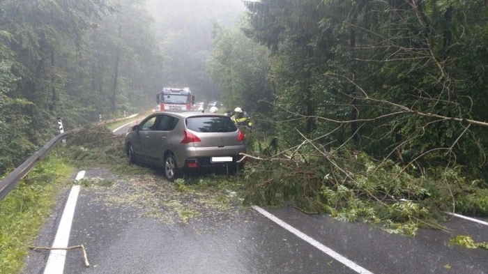 Die Freiwillige Feuerwehr Hofstätten an der Raab musste einen Baum entfernen, der bei der L366 zwischen Hofstätten und Sommerberg auf ein fahrendes Auto gestürzt war. Beide Insassen blieben zum Glück unverletzt.