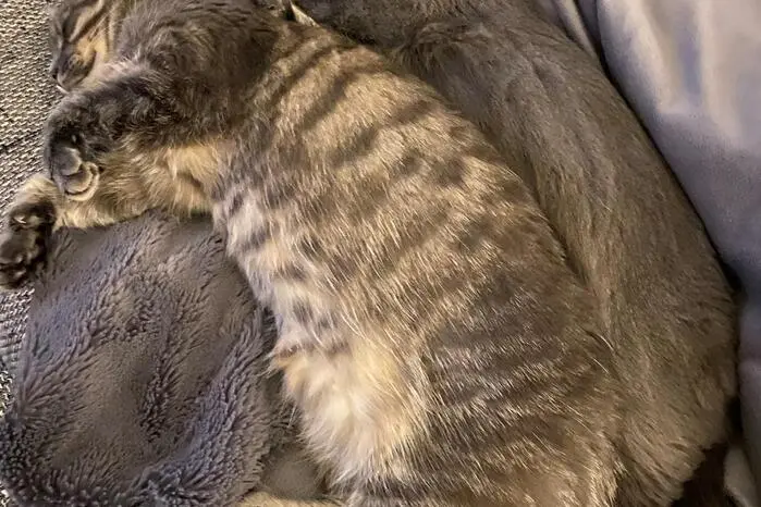 Für Missy und Sherley heißt es: Kuschelzeit.