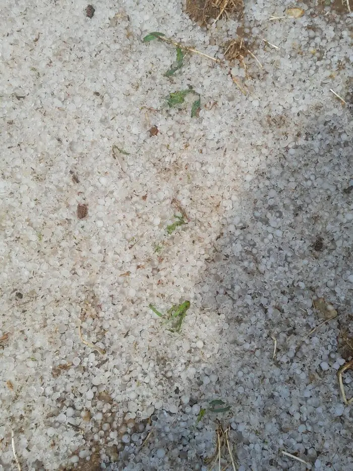 Auf einigen Feldern lag der Hagel wie Schnee