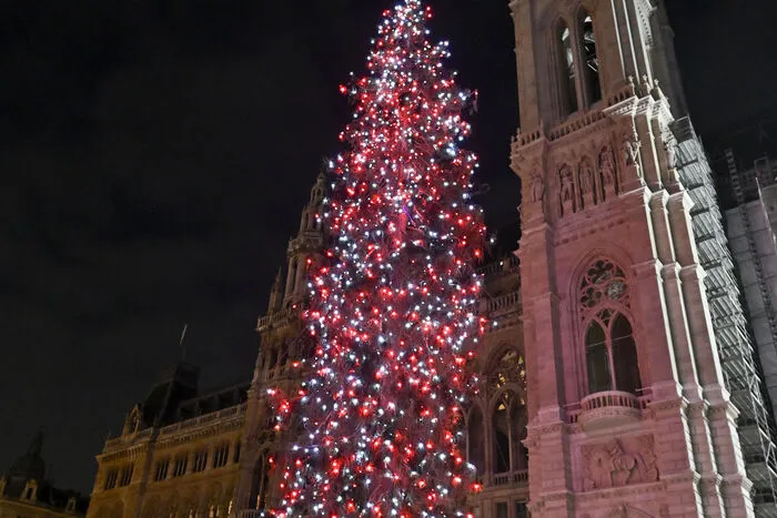 In Wien wurde rechtzeitig vor dem 1. Adventsonntag der Christbaum illuminiert.