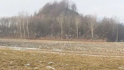 Hier wurde das verendete Rehbockkitz gefunden