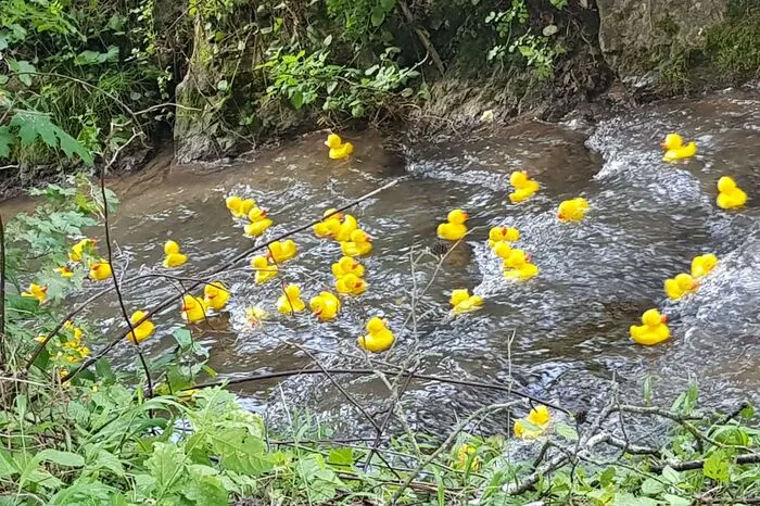 6. Entenrennen in Eisbach