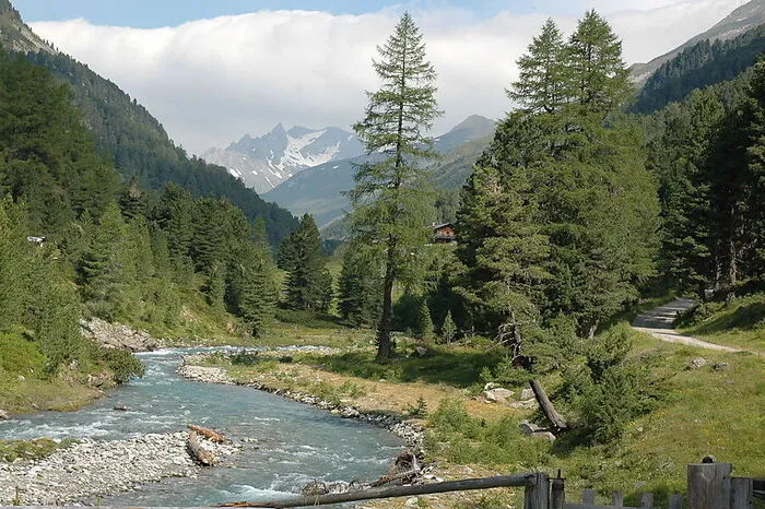 Defereggental. Der Oberhauser Zirbenwald liegt im hinteren Defereggental und ist mit seinen mehr als 170 Hektar Fläche der größte zusammenhängende Zirbenwald der Ostalpen. Er steht unter dem Schutz des Nationalparks Hohe Tauern und ist von einem Themenweg durchzogen. Die einzelnen Zirben sind bis zu 900 Jahre alt, von einem 22 Meter hohen Aussichtsturm kann man ihre Kronen auch von oben bewundern.