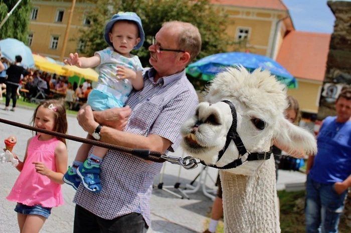 Für die Kinder gab es neben dem Kinderschminken auch Lamas, die sie streicheln konnten.
