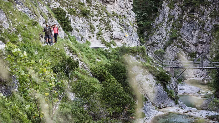 Die Ötschergräben nennt man nicht umsonst den "Grand Canyon" Österreichs. Bei einer geführten Wanderung im Naturpark Ötscher-Tormäuer erfährt man von ausgebildeten Naturvermittlern Besonderheiten der dortigen Tier- und Pflanzenwelt.